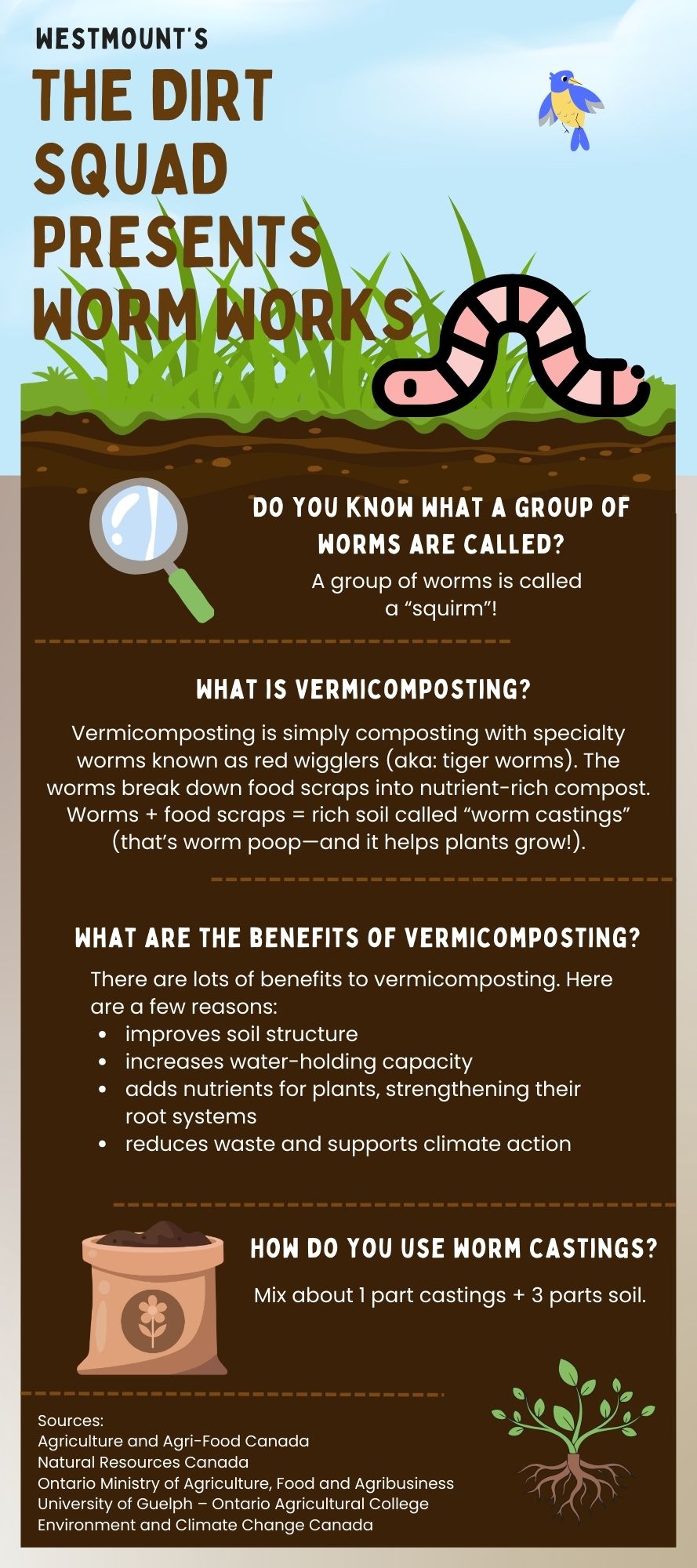Westmount - Vermicomposting Info 1